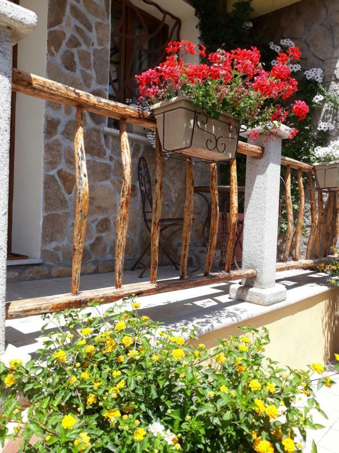أولبيا Al Pez Exclusive Rooms المظهر الخارجي الصورة